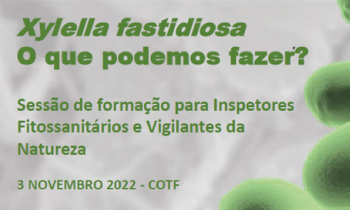 Imagem destaque