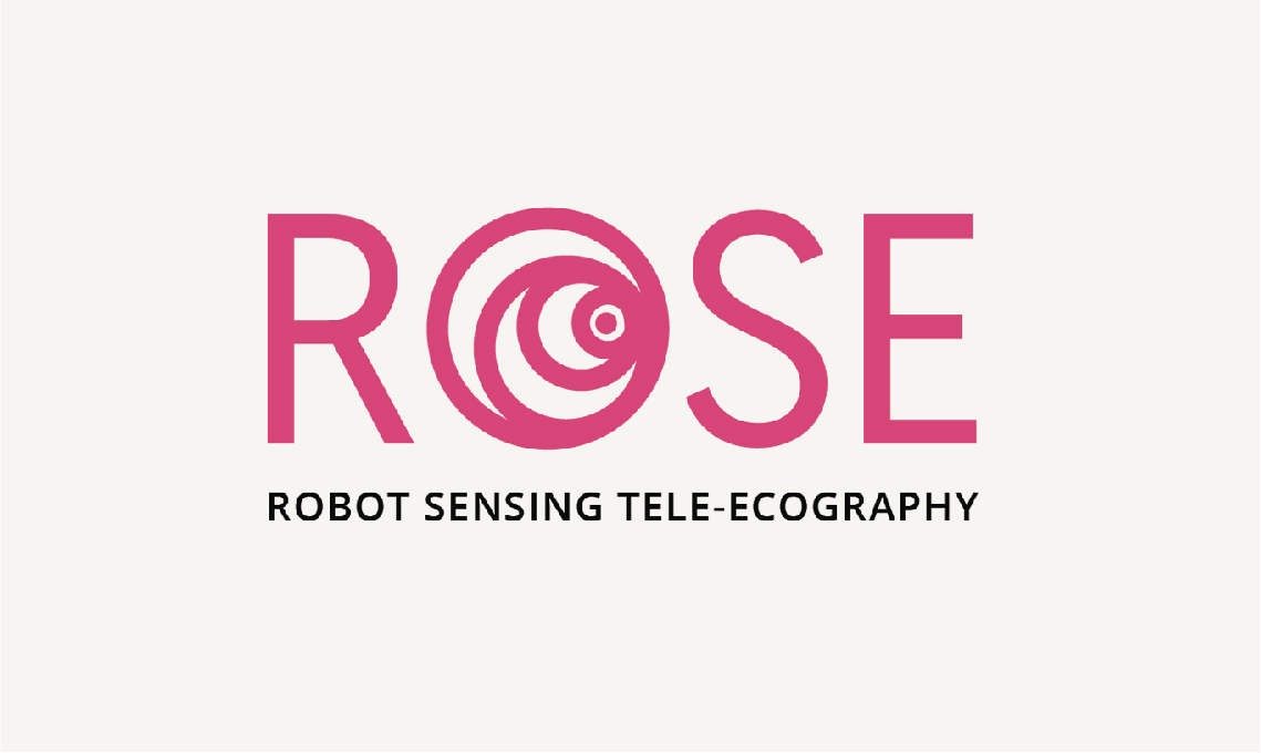 RObot SEnsing Tele-Ecography