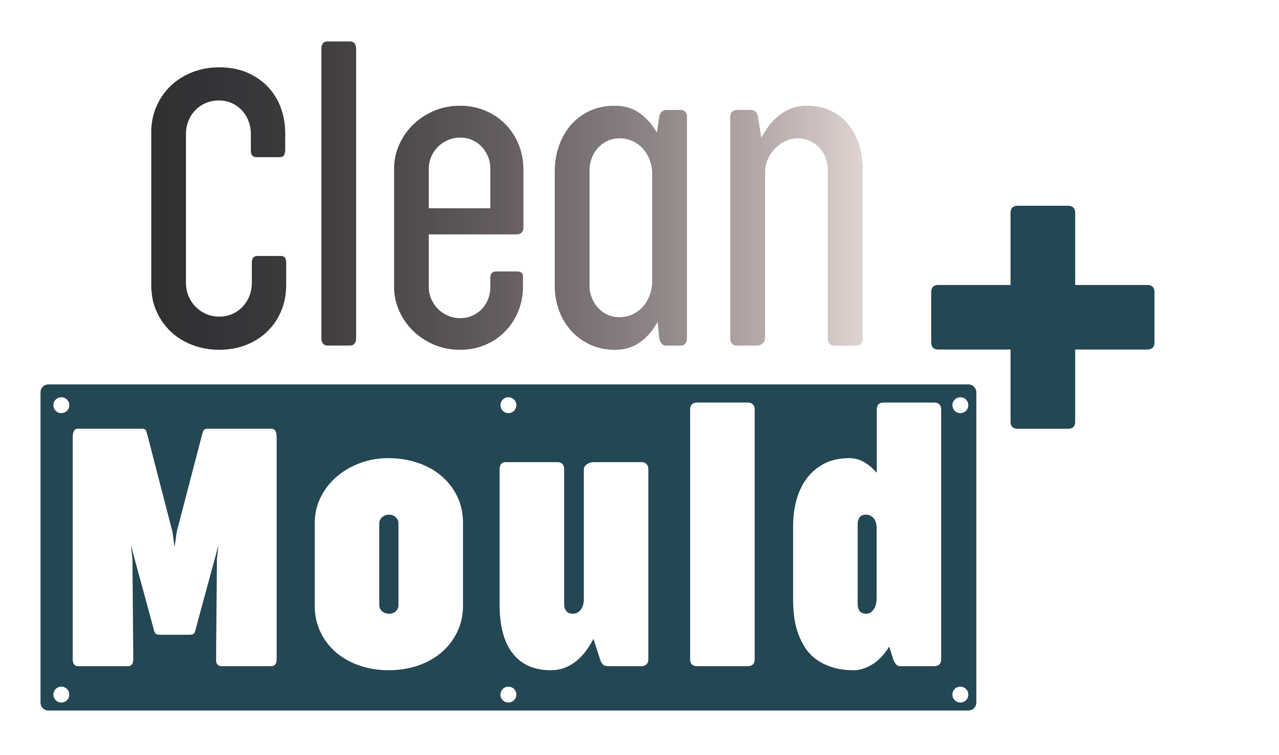 CleanMouldPlus
